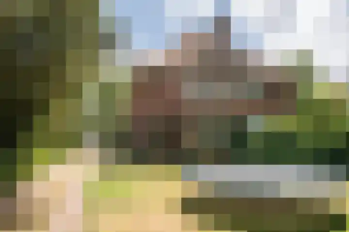 Buurtweg 109 Wassenaar thumbnail 26