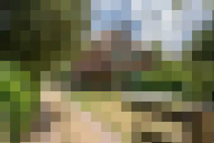 Buurtweg 109 Wassenaar thumbnail 33