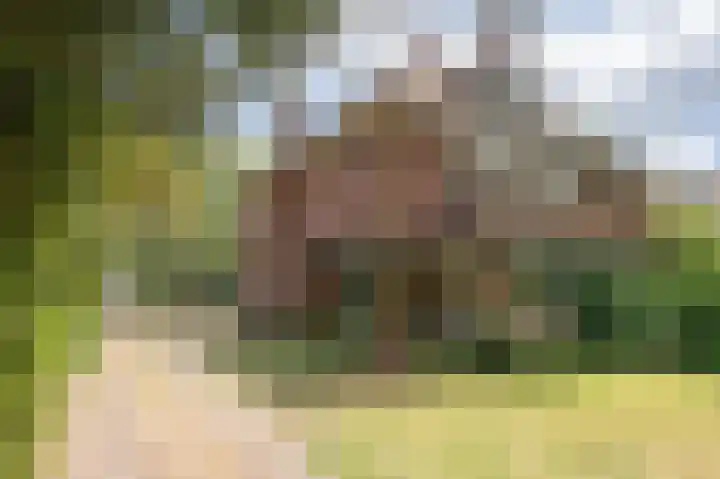 Buurtweg 109 Wassenaar thumbnail 4