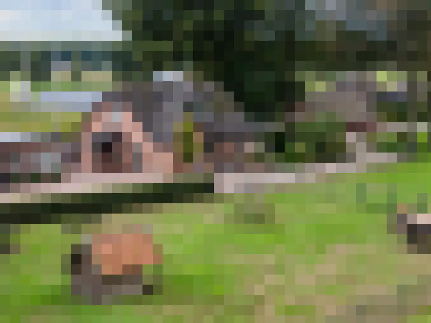 Buurtweg 11 Ermelo thumbnail 10