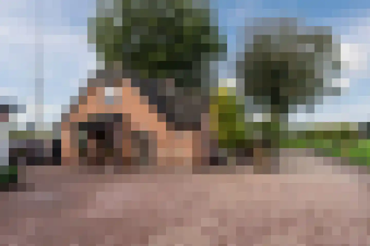 Buurtweg 11 Ermelo thumbnail 11