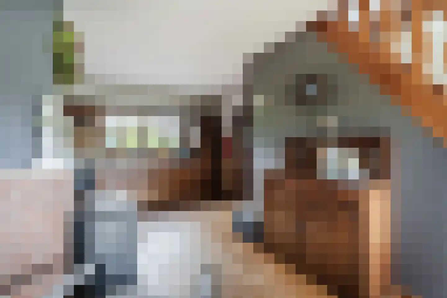 Buurtweg 11 Ermelo thumbnail 17