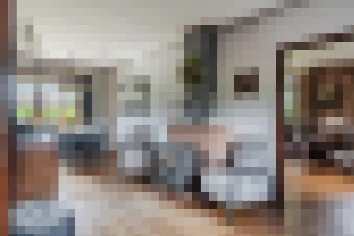 Buurtweg 11 Ermelo thumbnail 18