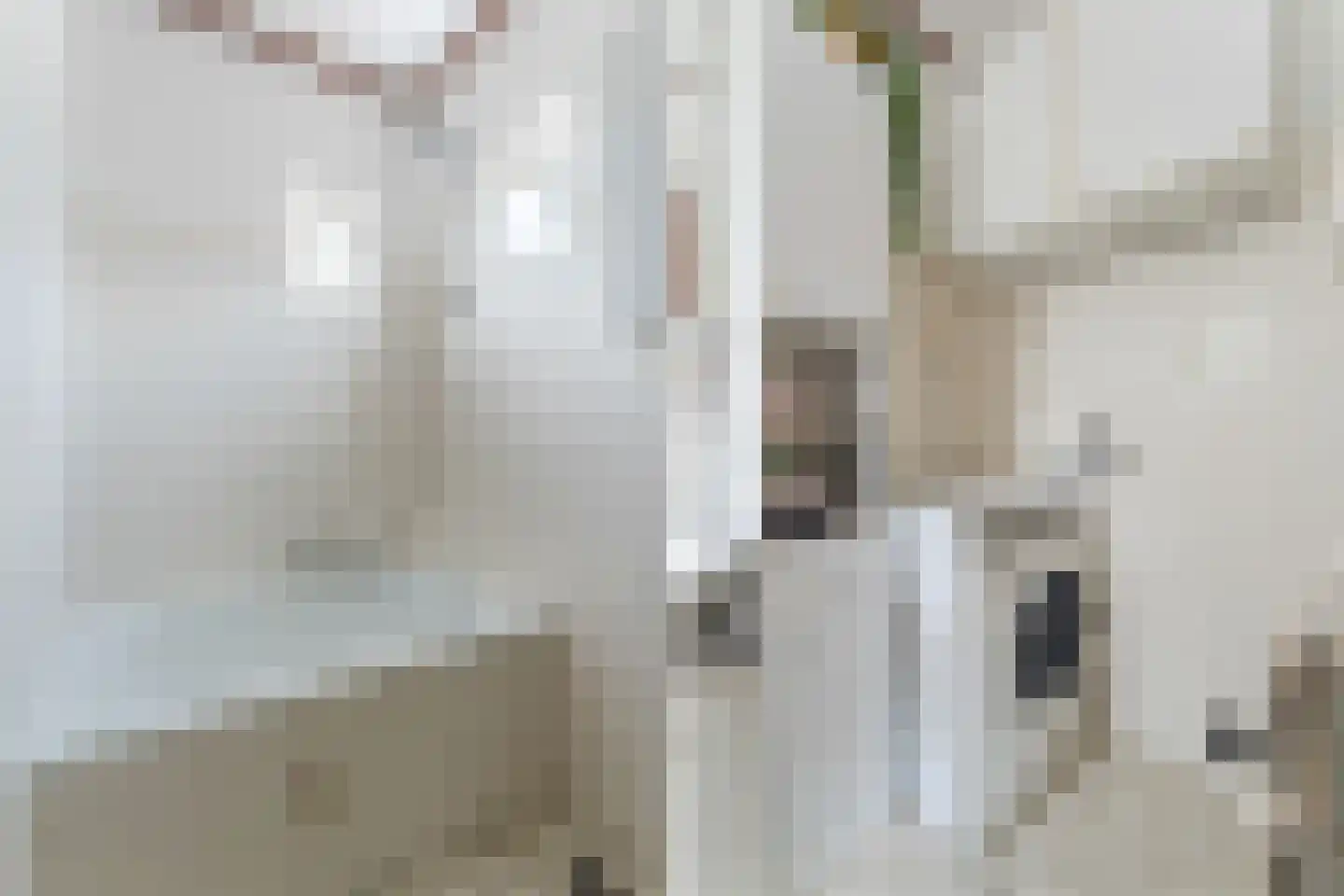 Buurtweg 11 Ermelo thumbnail 23