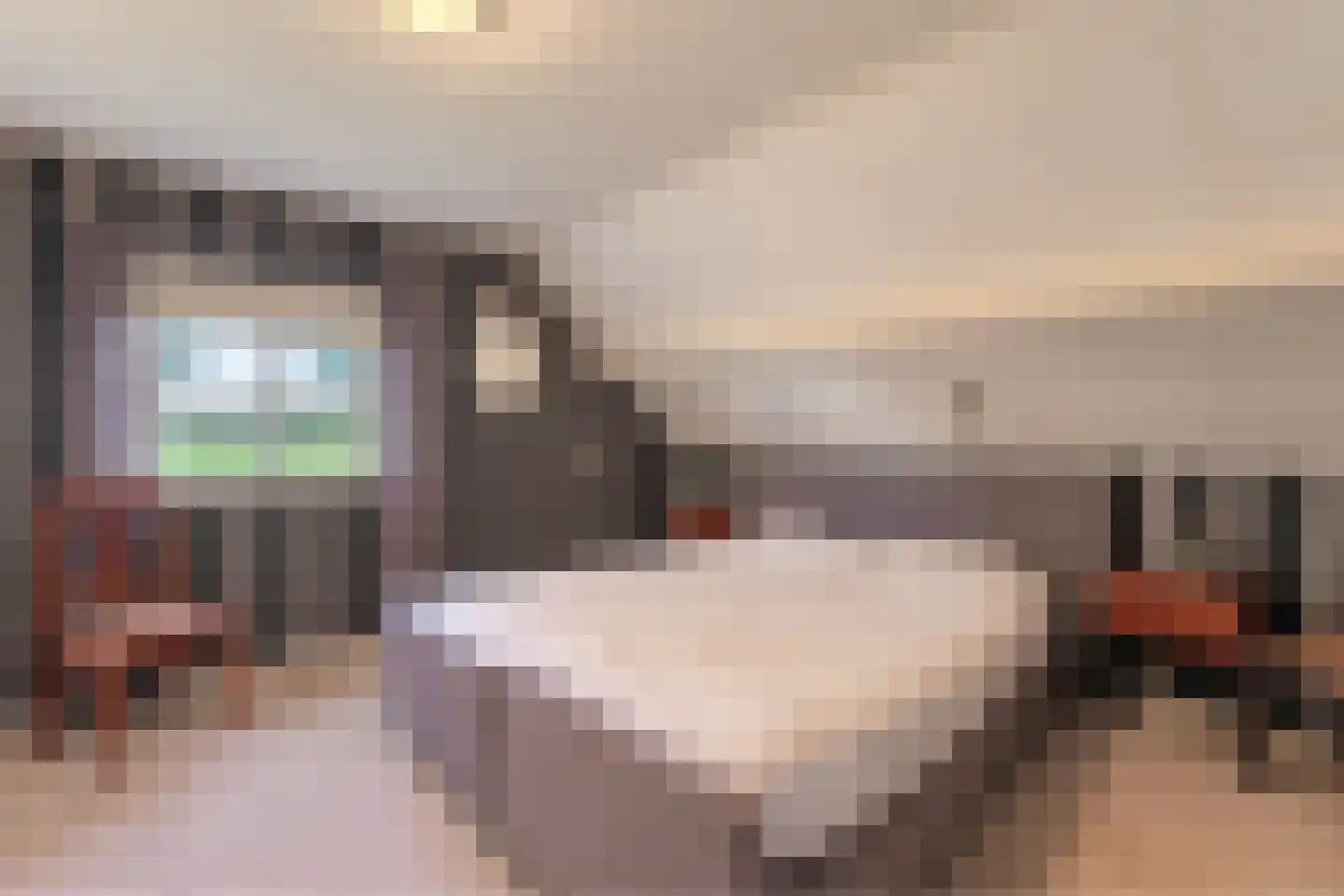 Buurtweg 11 Ermelo thumbnail 24