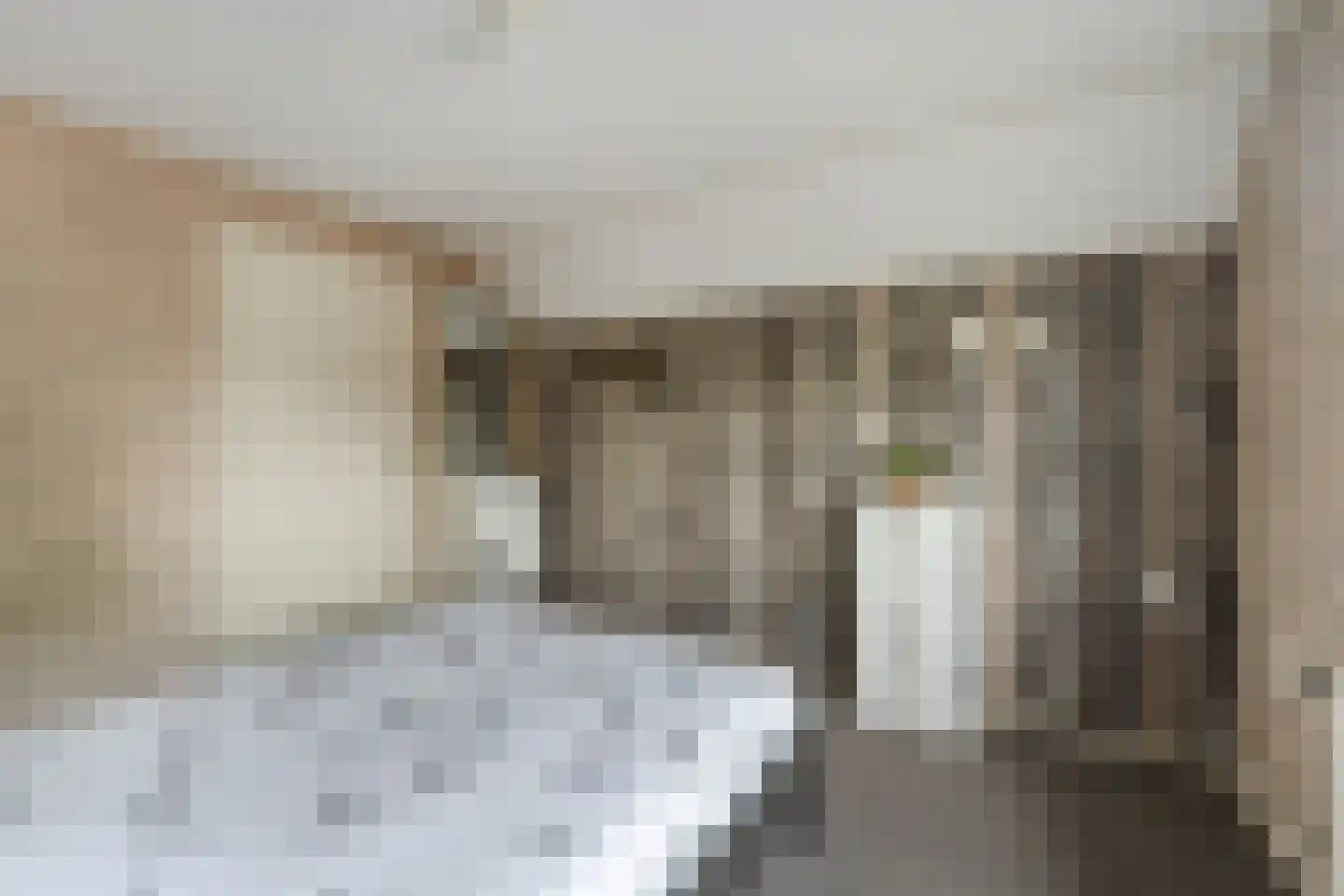 Buurtweg 11 Ermelo thumbnail 27