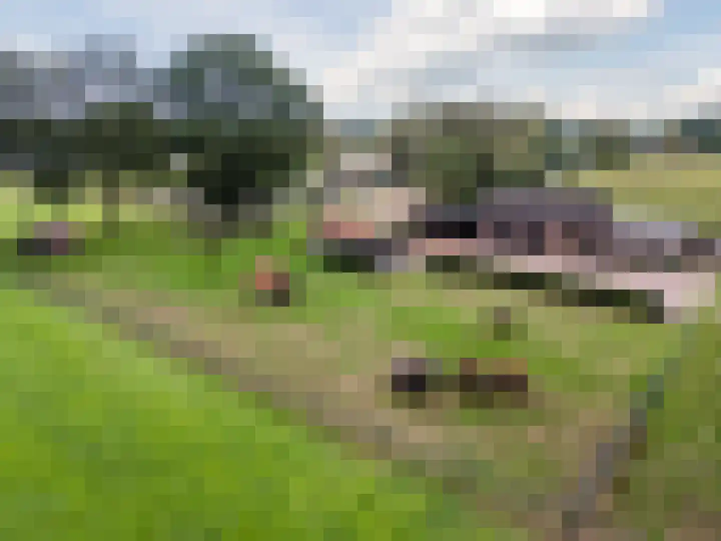 Buurtweg 11 Ermelo thumbnail 44