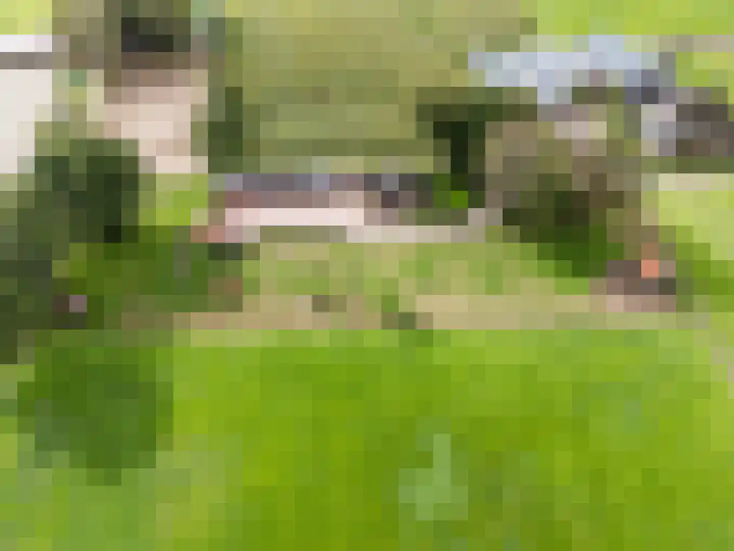 Buurtweg 11 Ermelo thumbnail 46