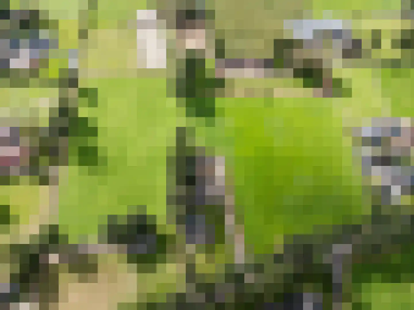 Buurtweg 11 Ermelo thumbnail 47