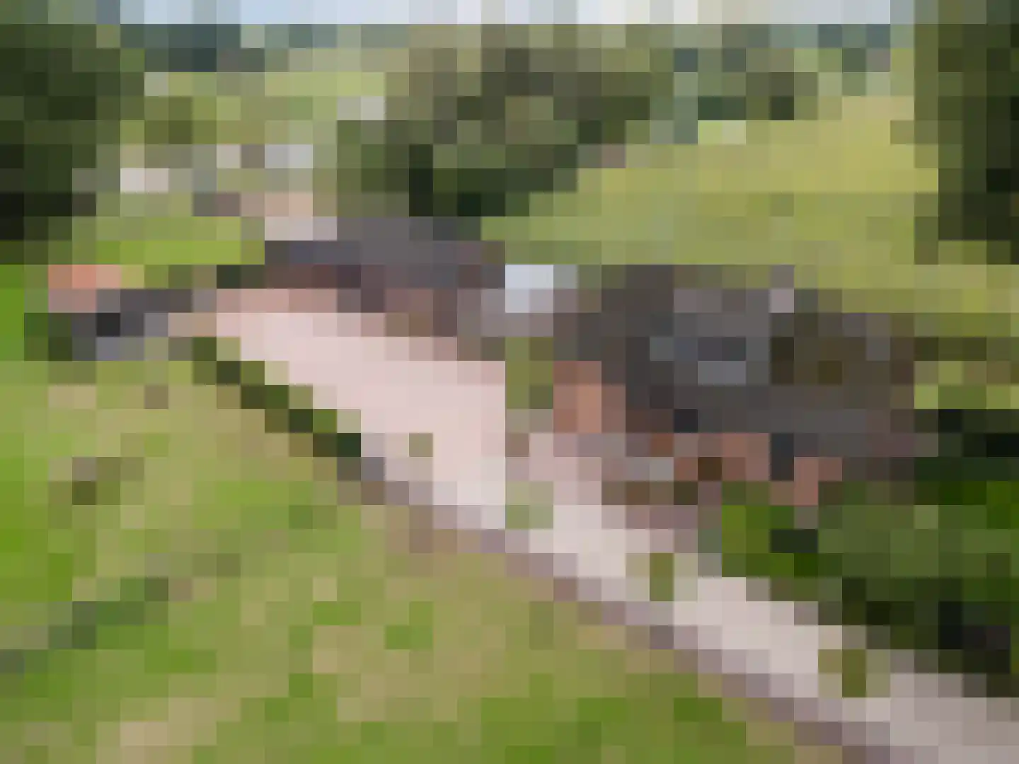Buurtweg 11 Ermelo thumbnail 5