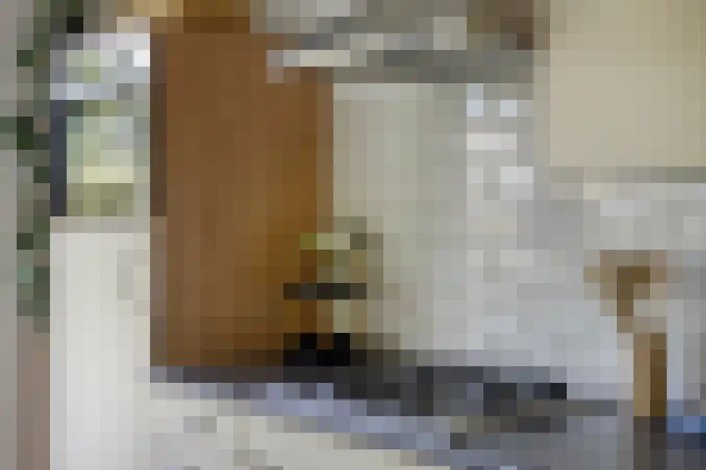 Buurtweg 11 Stavenisse thumbnail 12