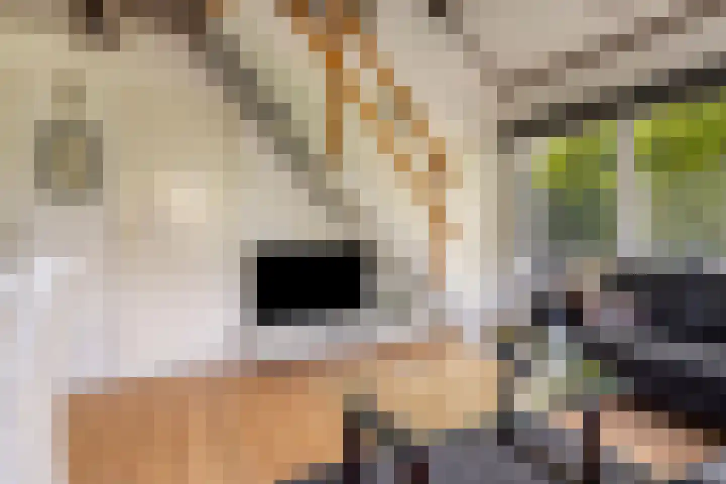 Buurtweg 11 Stavenisse thumbnail 15