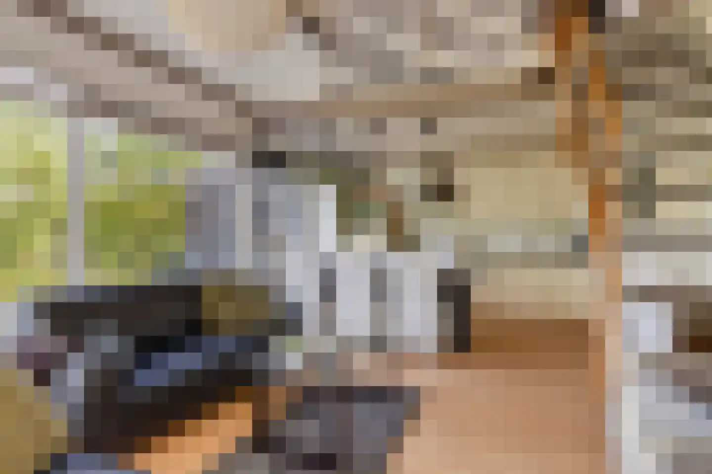 Buurtweg 11 Stavenisse thumbnail 17