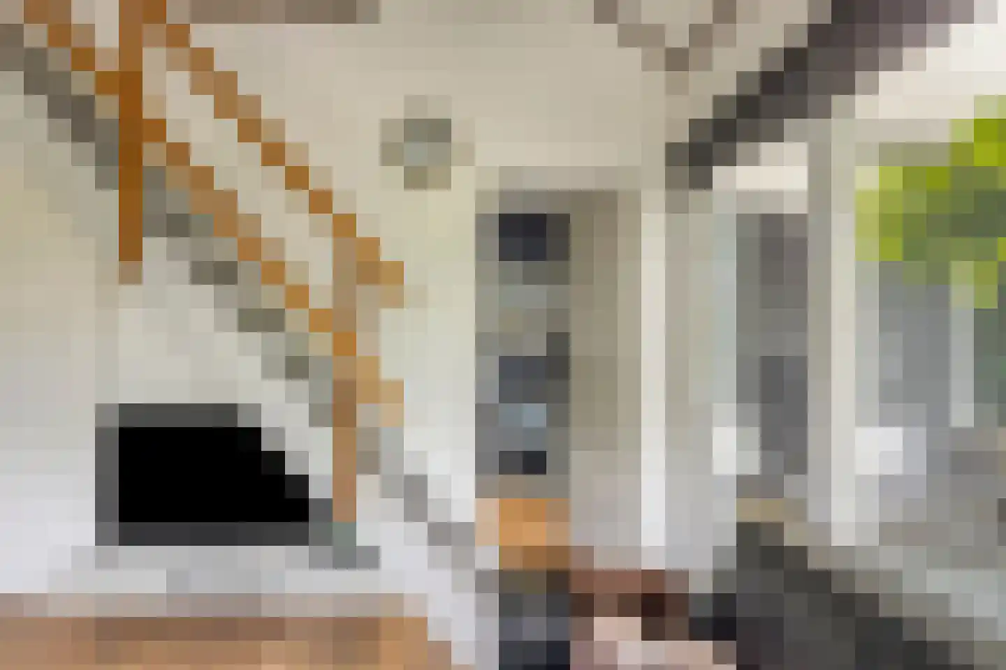 Buurtweg 11 Stavenisse thumbnail 18