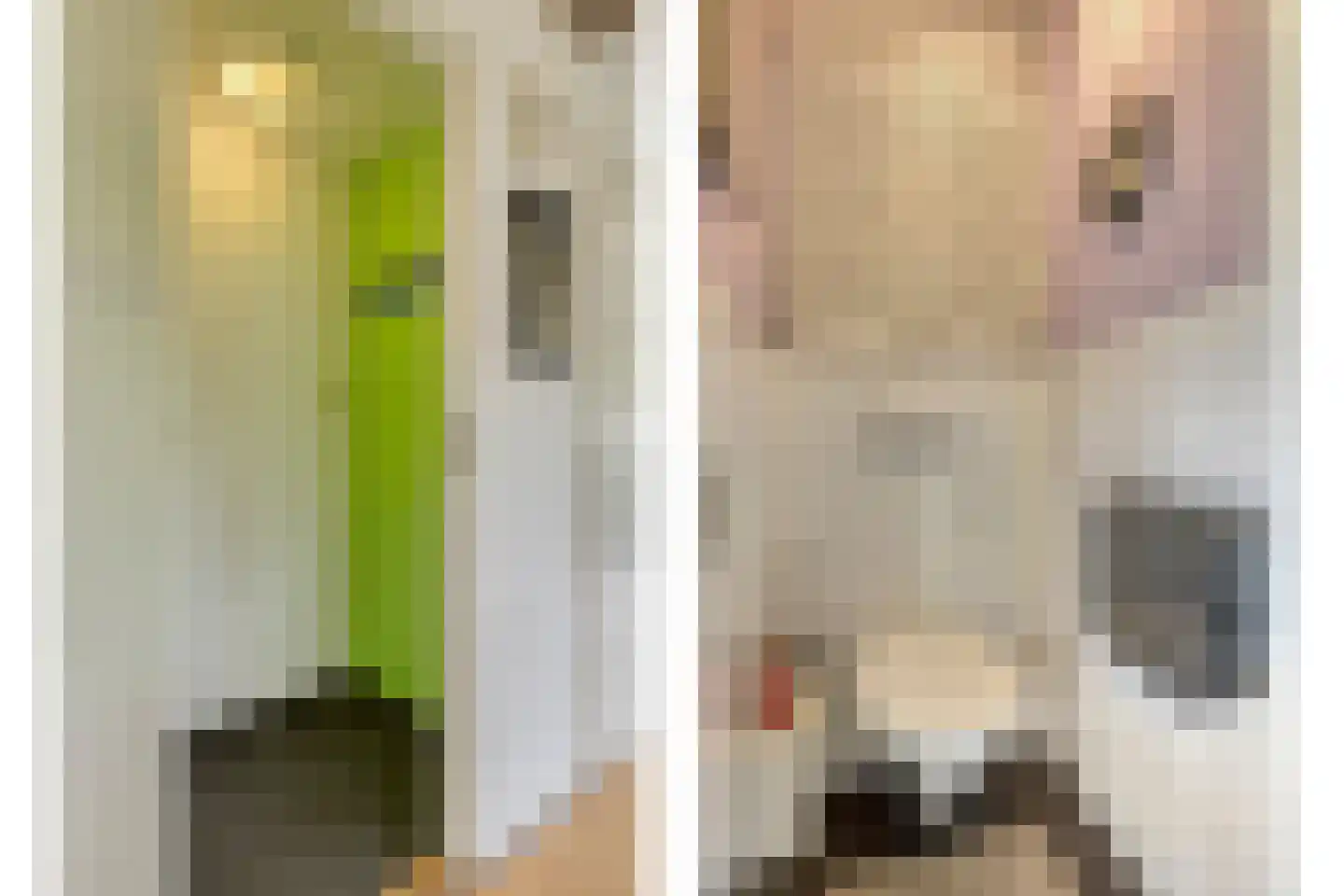 Buurtweg 11 Stavenisse thumbnail 22
