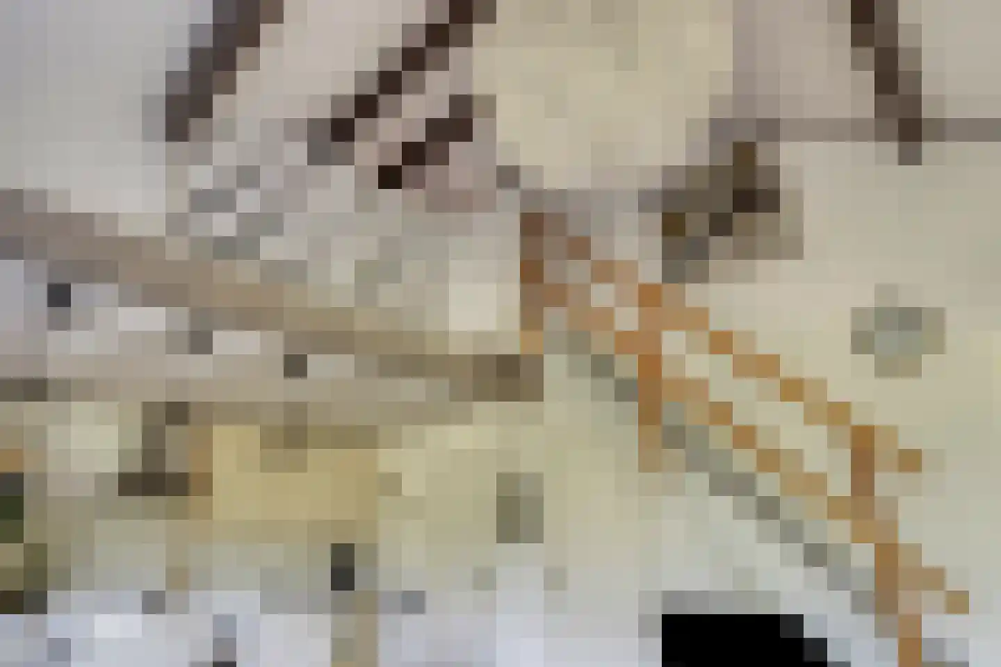 Buurtweg 11 Stavenisse thumbnail 24