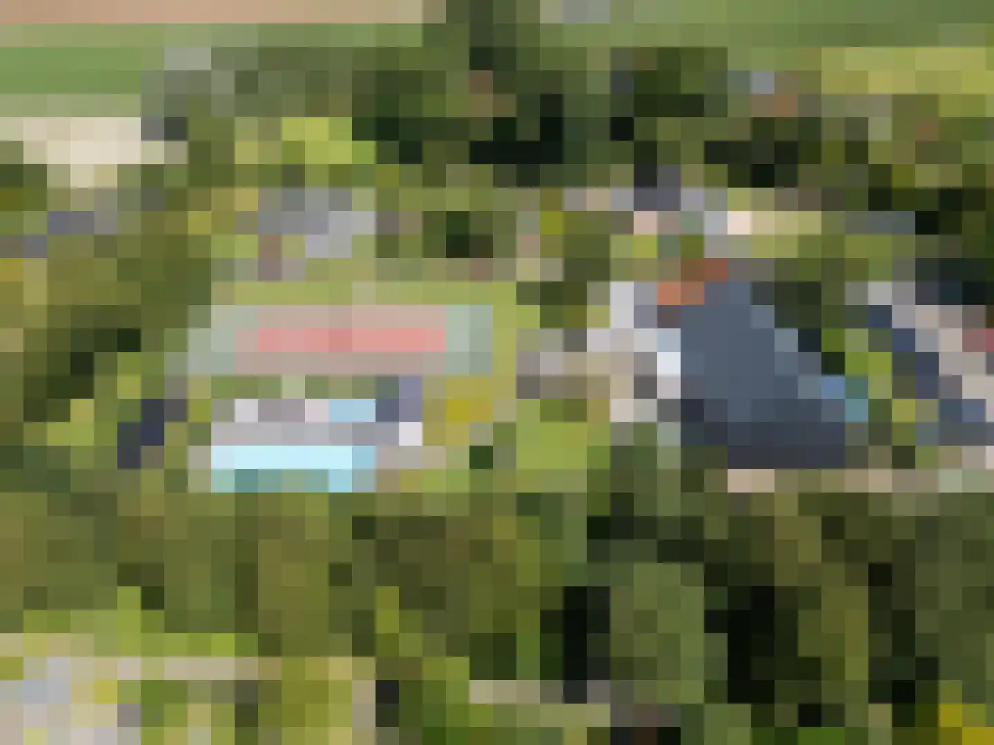 Buurtweg 11 Stavenisse thumbnail 5