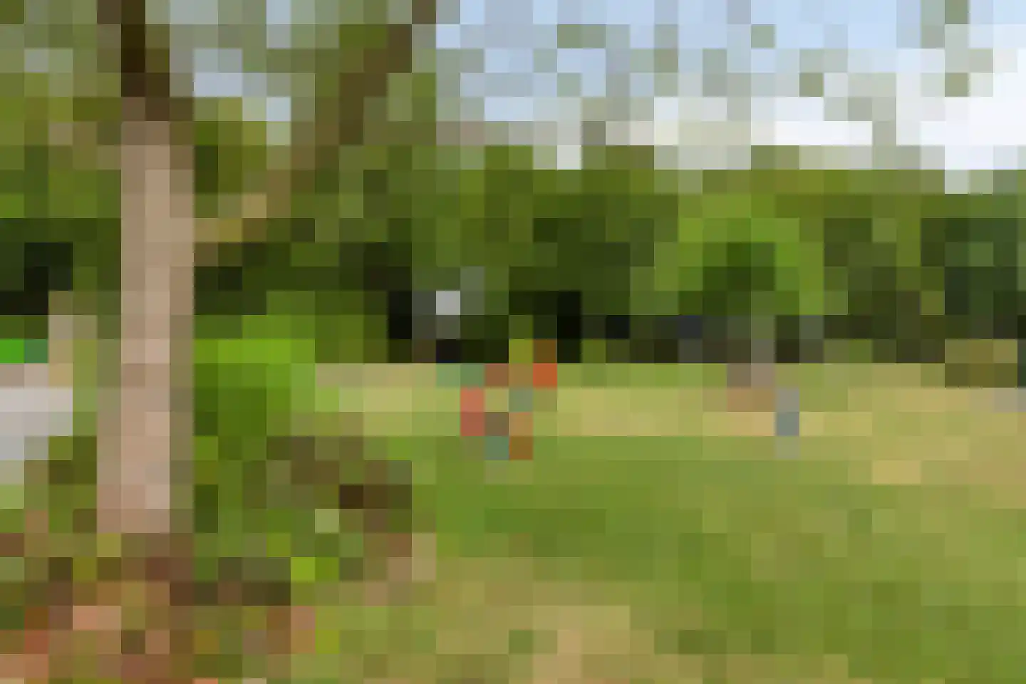Buurtweg 11 Stavenisse thumbnail 51