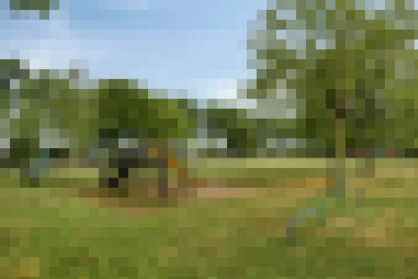 Buurtweg 11 Stavenisse thumbnail 52