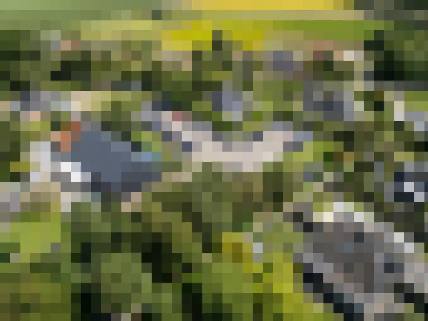 Buurtweg 11 Stavenisse thumbnail 53