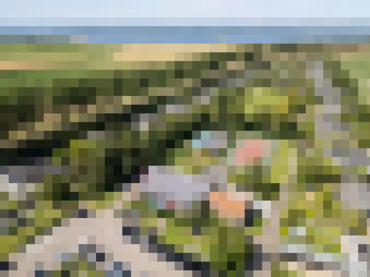 Buurtweg 11 Stavenisse thumbnail 56