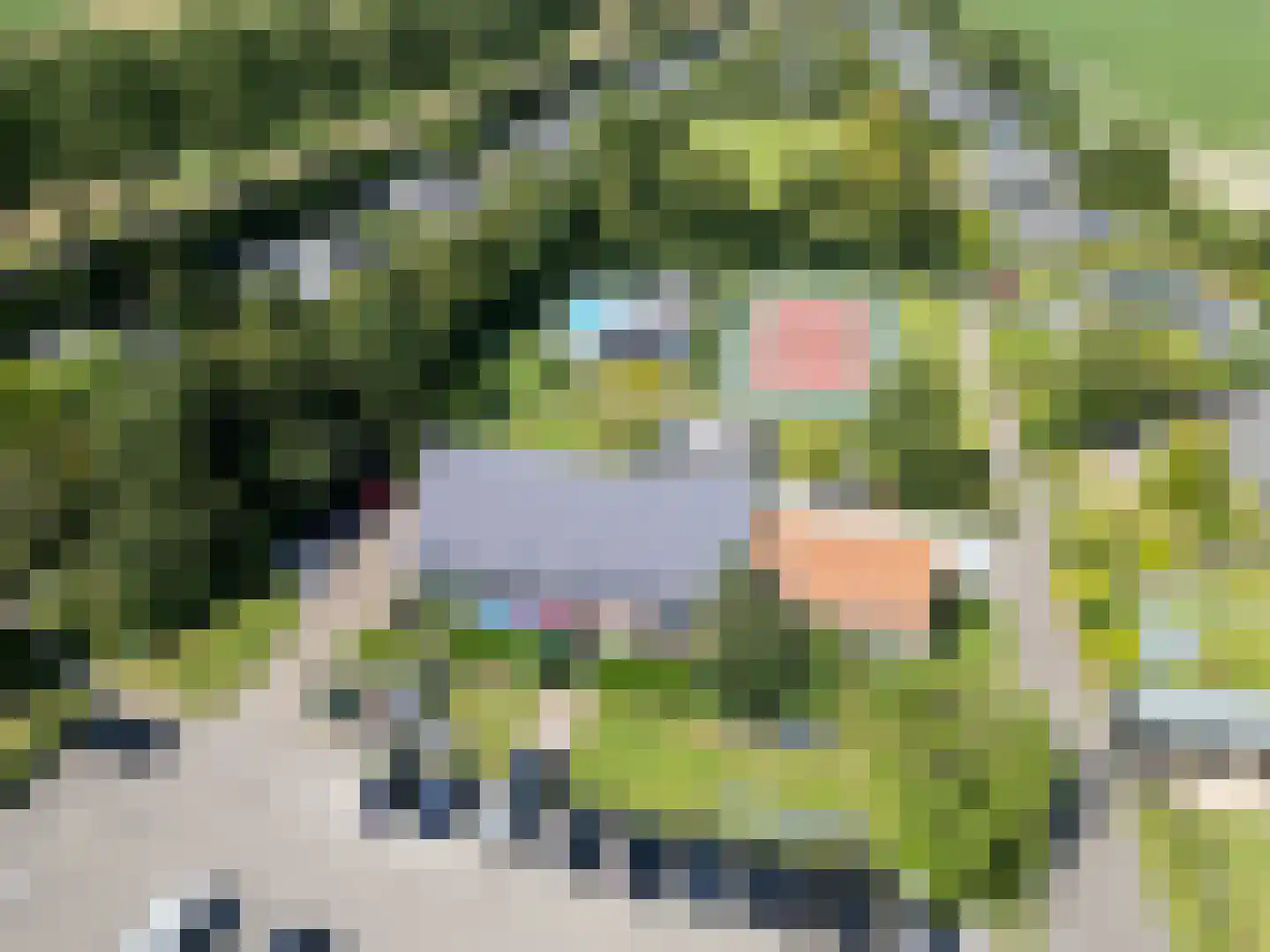 Buurtweg 11 Stavenisse thumbnail 57