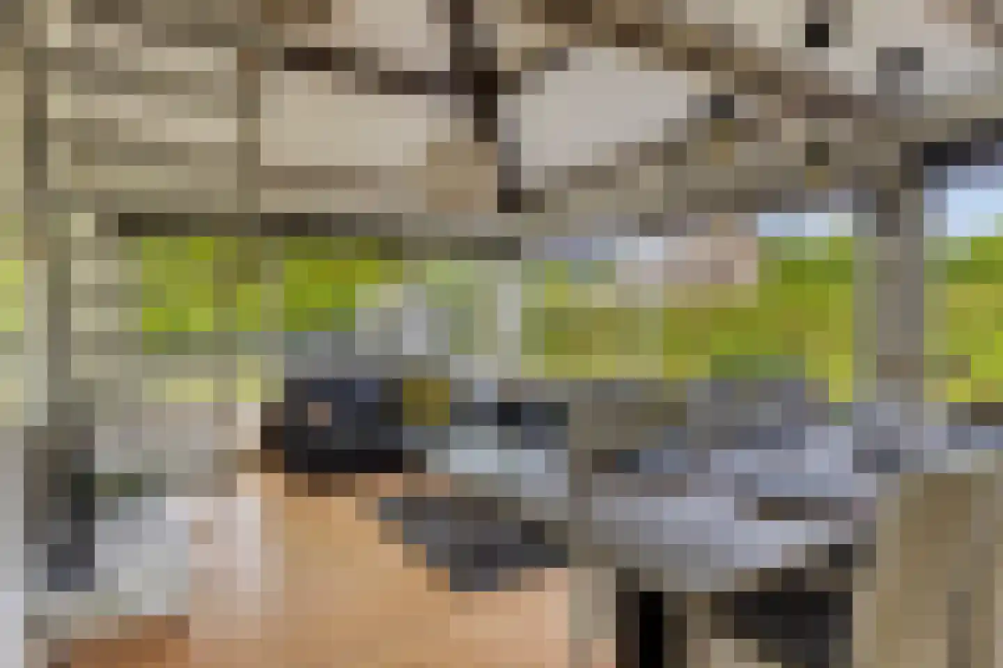 Buurtweg 11 Stavenisse thumbnail 6