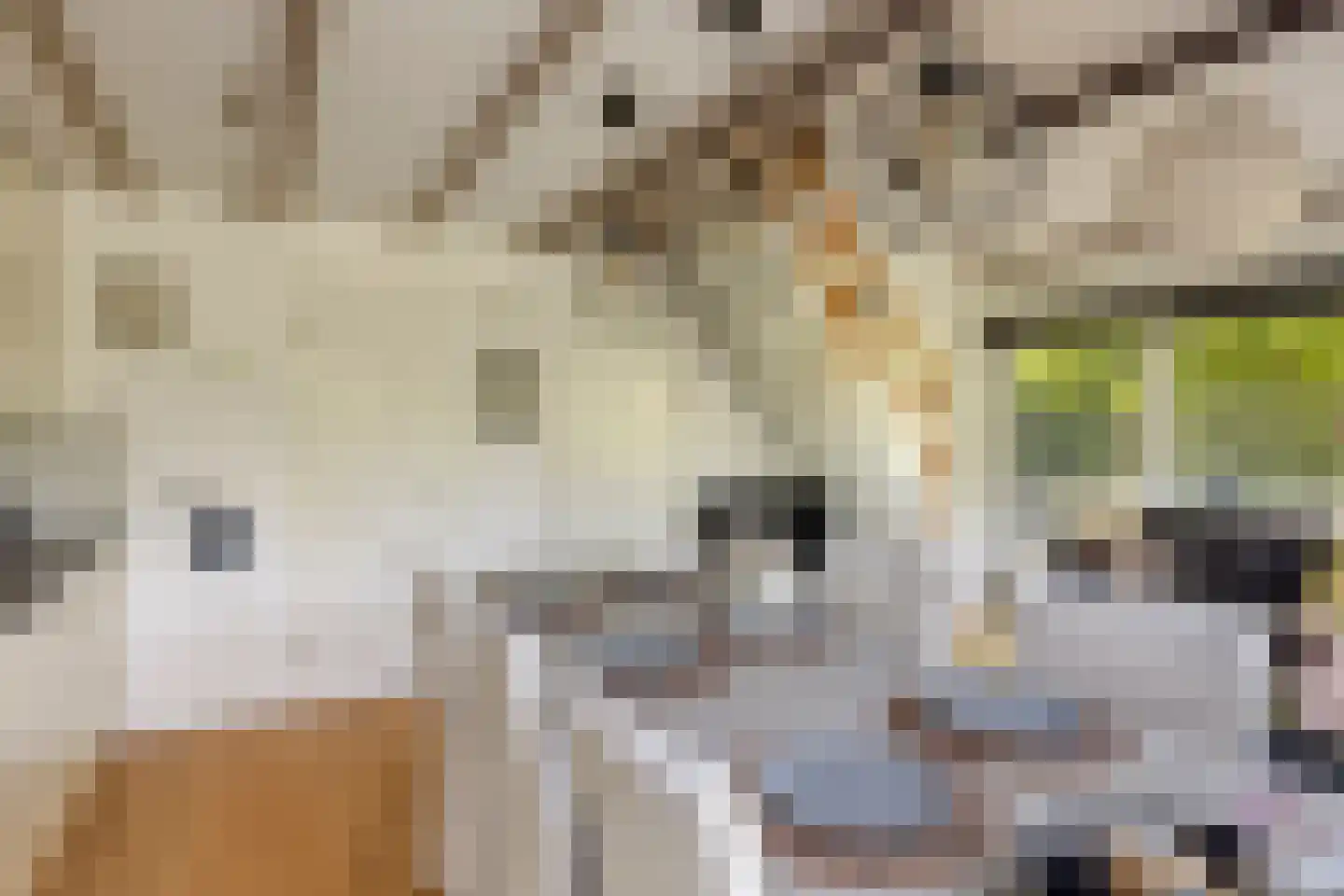 Buurtweg 11 Stavenisse thumbnail 8
