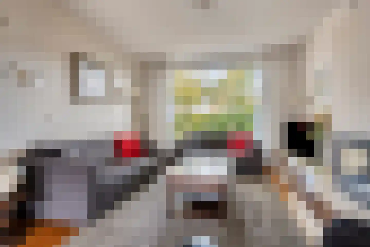 Buurtweg 13 Halsteren thumbnail 12
