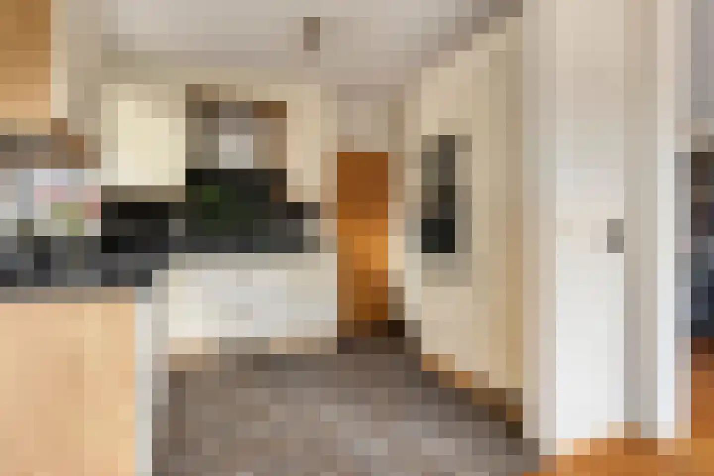 Buurtweg 13 Halsteren thumbnail 21
