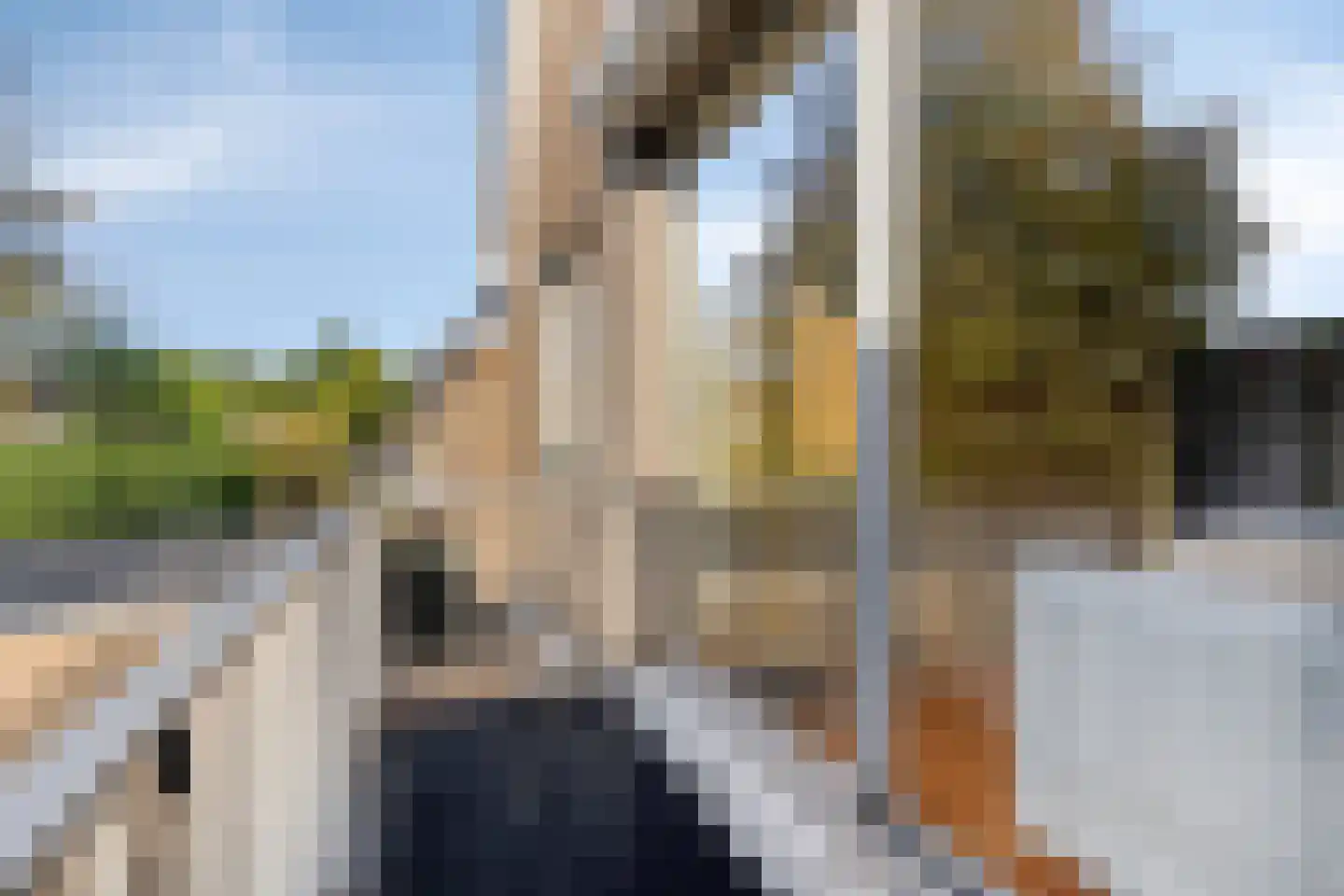 Buurtweg 13 Halsteren thumbnail 27
