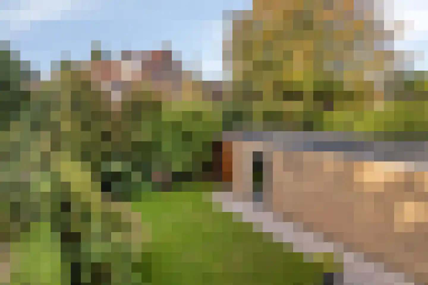 Buurtweg 13 Halsteren thumbnail 28