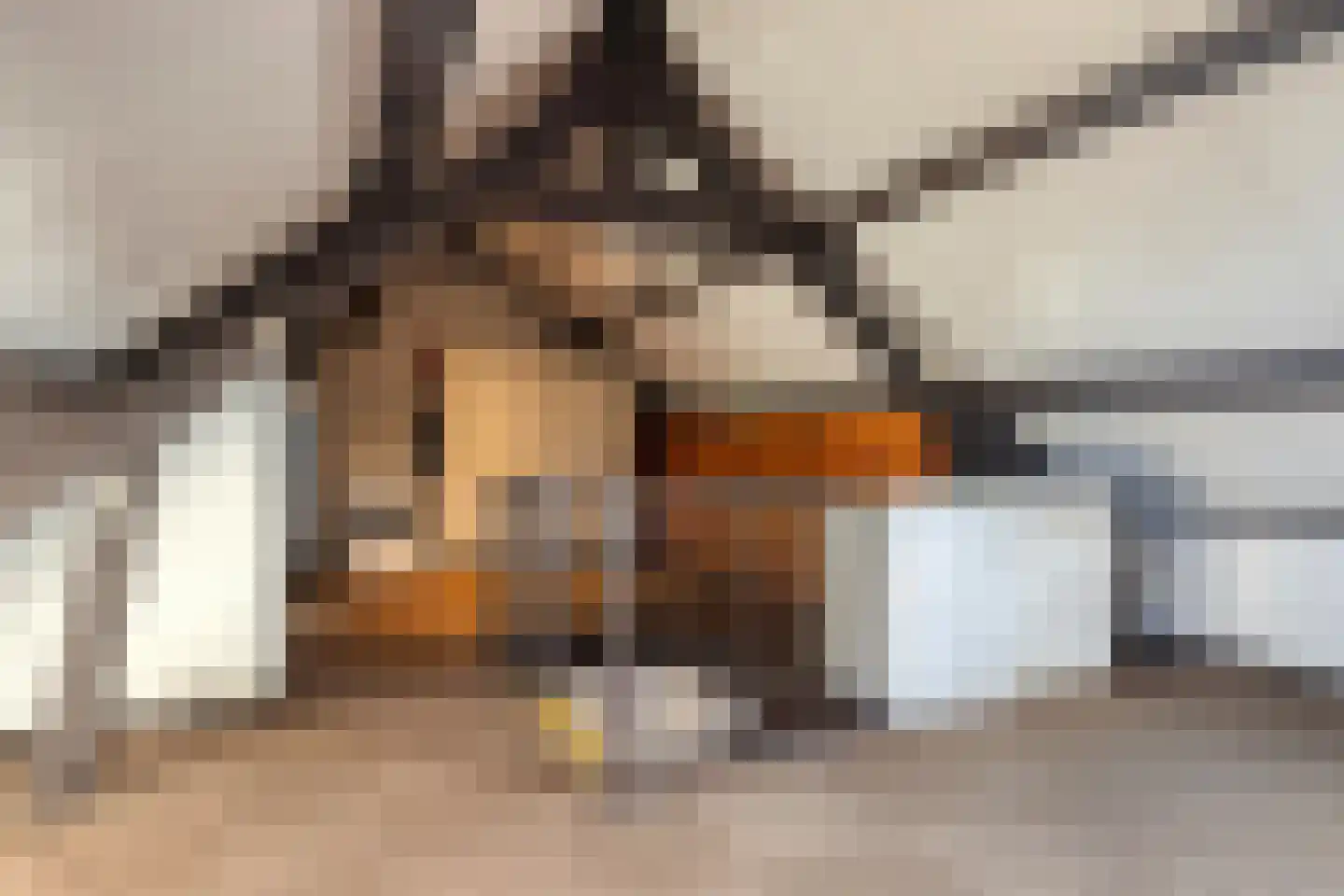 Buurtweg 13 Halsteren thumbnail 37