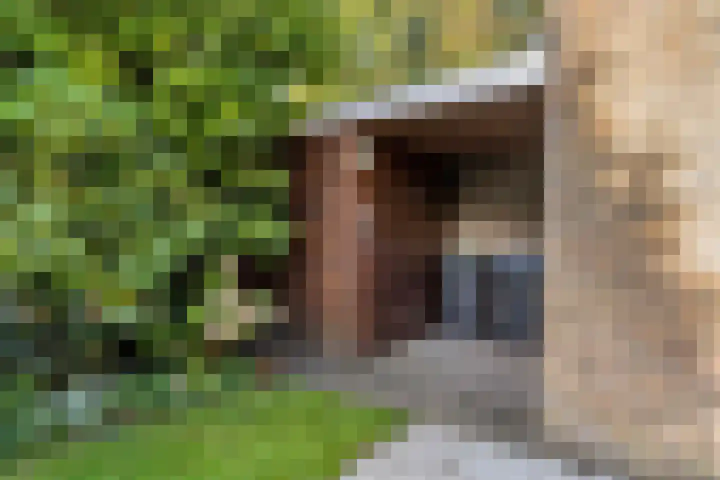 Buurtweg 13 Halsteren thumbnail 42