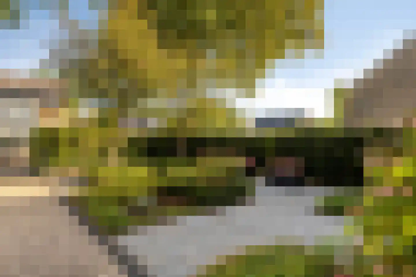 Buurtweg 13 Halsteren thumbnail 47