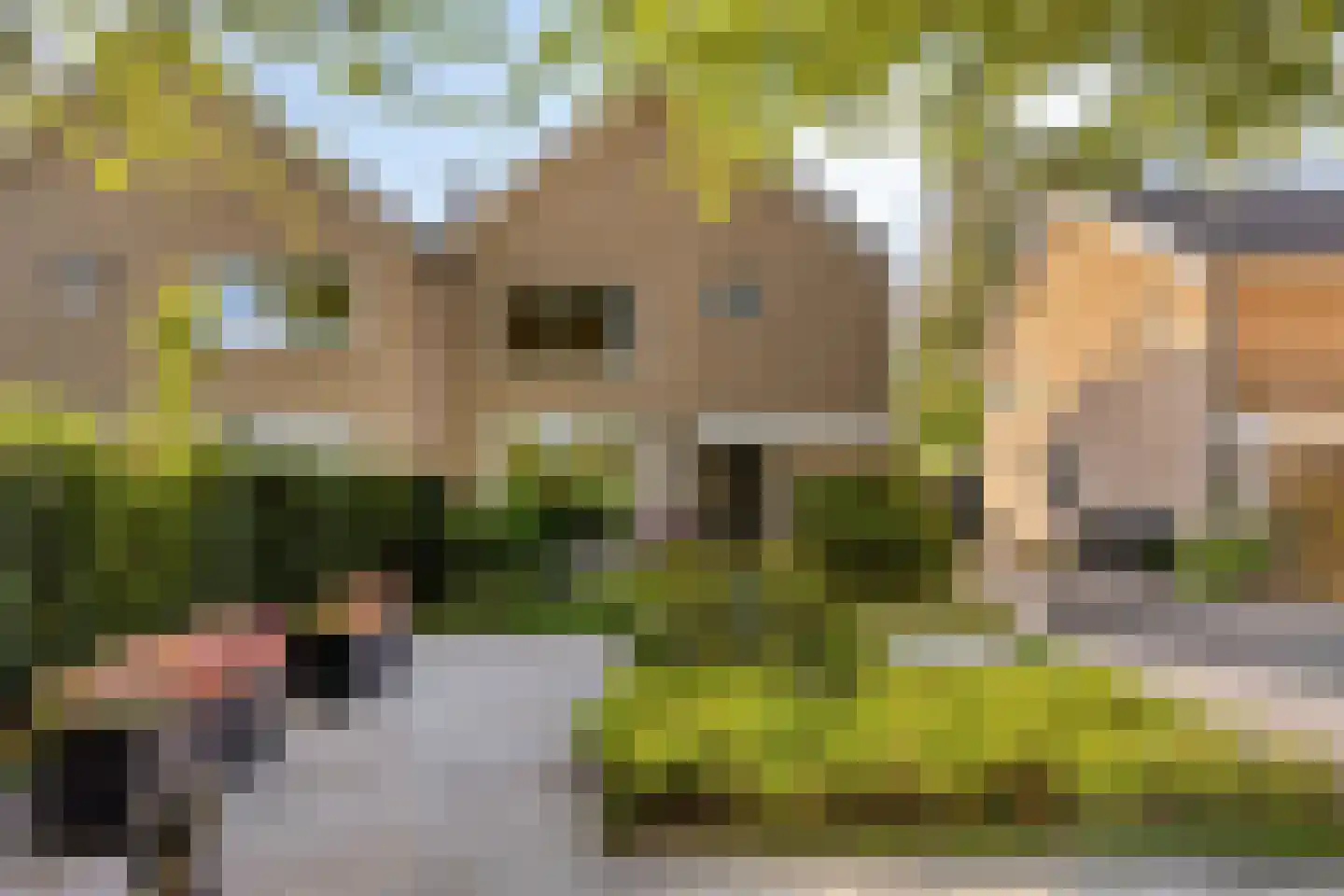 Buurtweg 13 Halsteren thumbnail 7