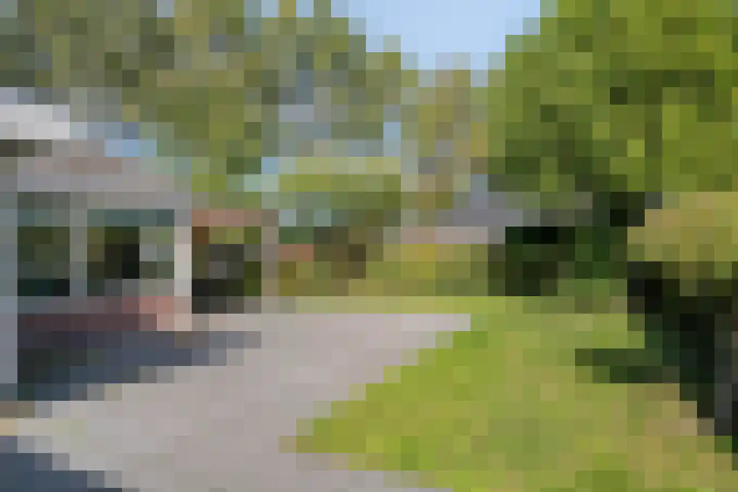 Buurtweg 133 Stavenisse thumbnail 23