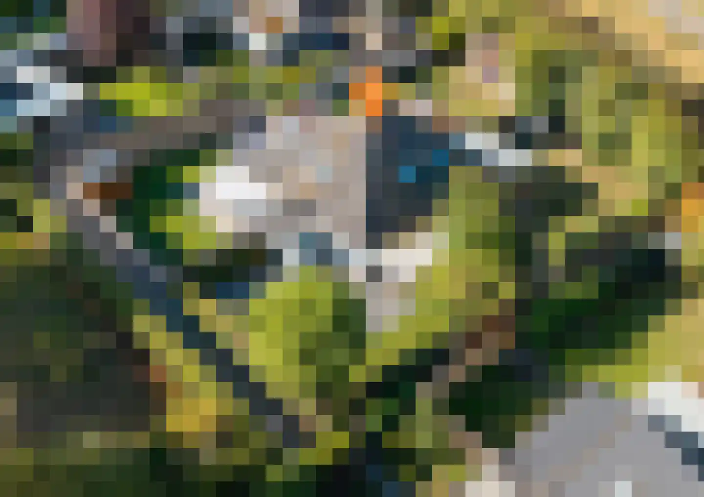 Buurtweg 133 Stavenisse thumbnail 27