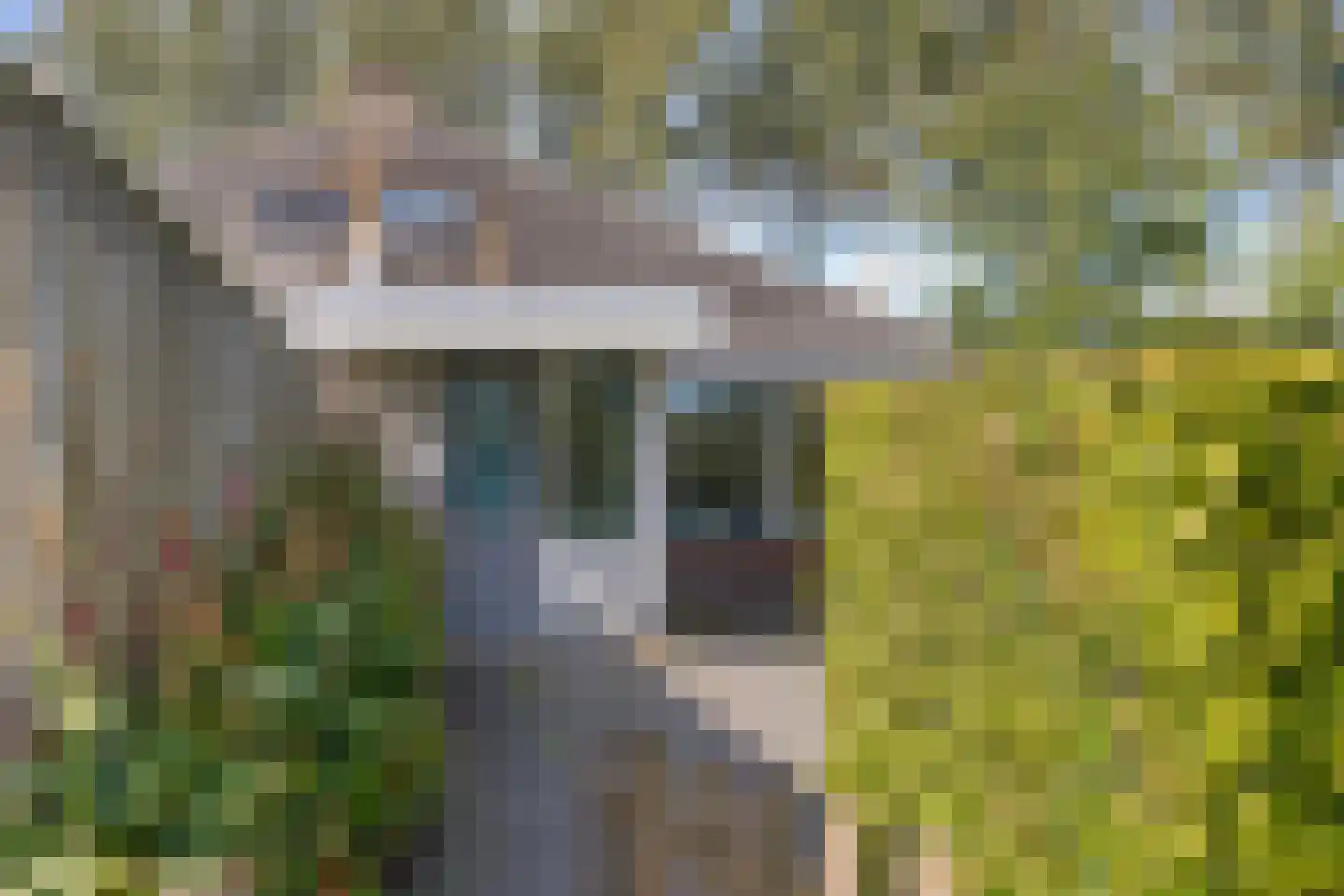 Buurtweg 133 Stavenisse thumbnail 5
