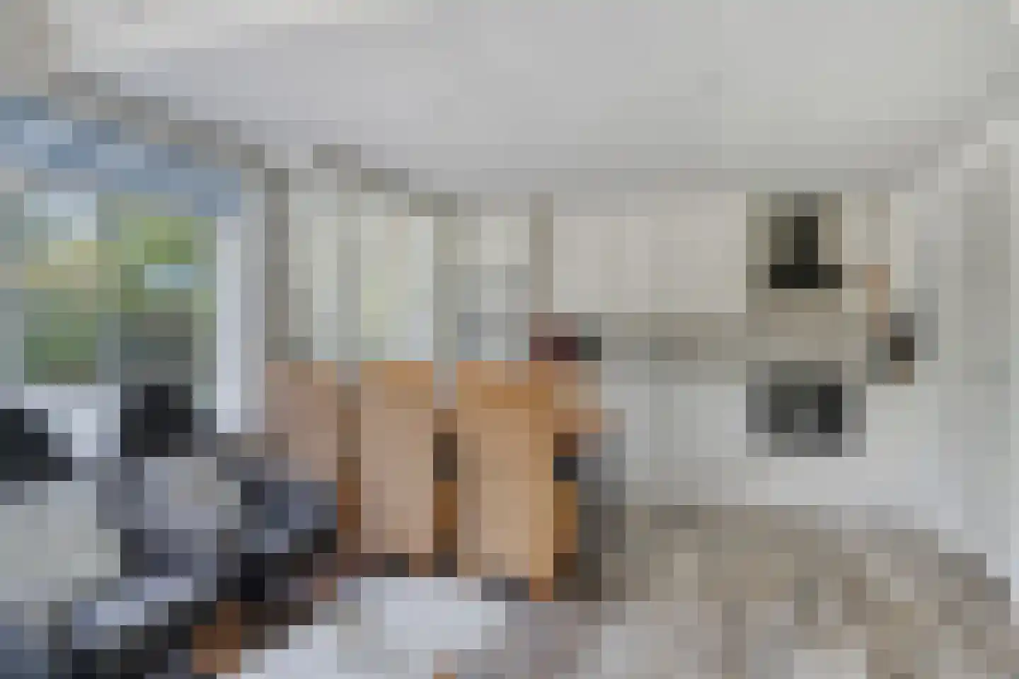 Buurtweg 133 Stavenisse thumbnail 8