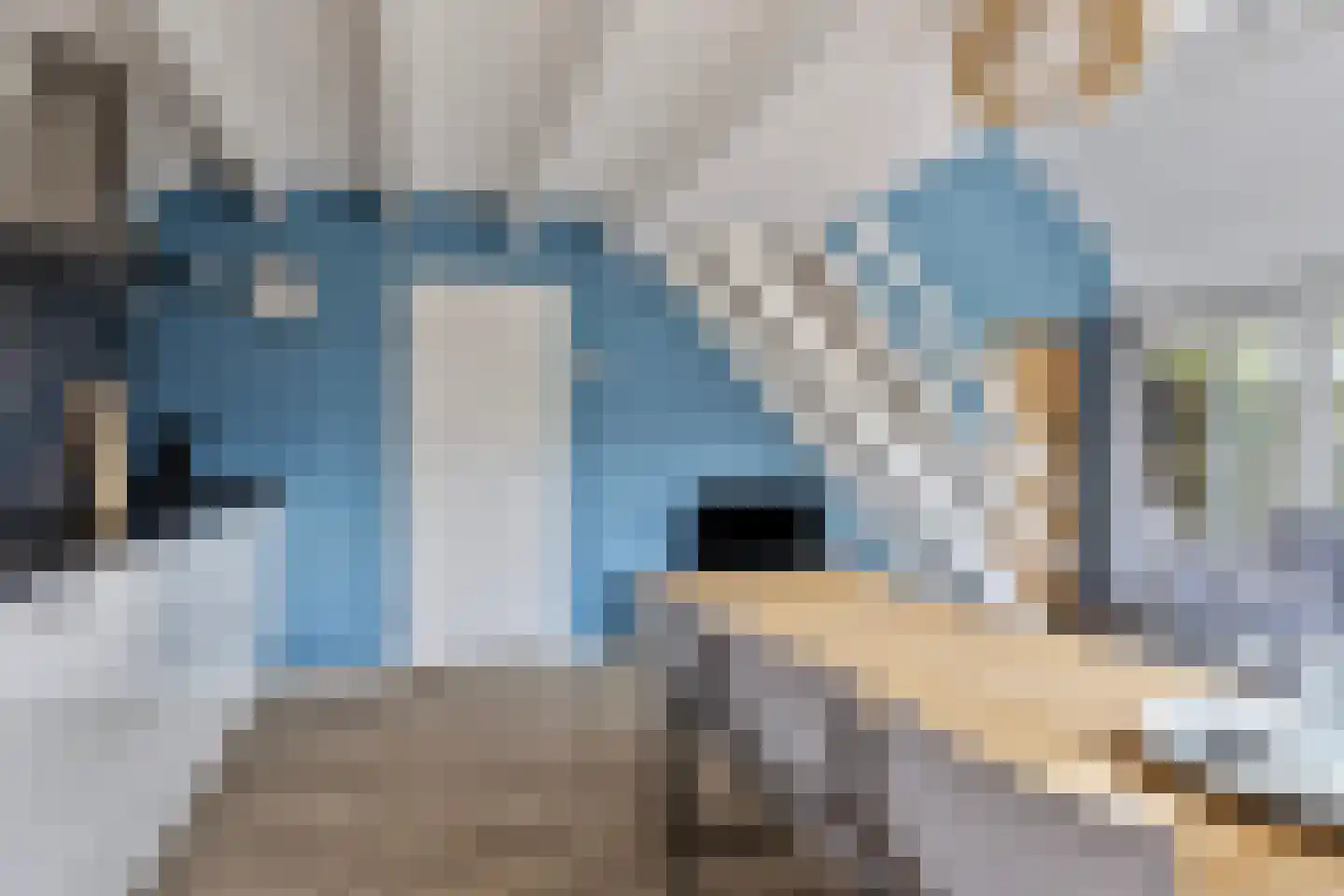 Buurtweg 147 Stavenisse thumbnail 17