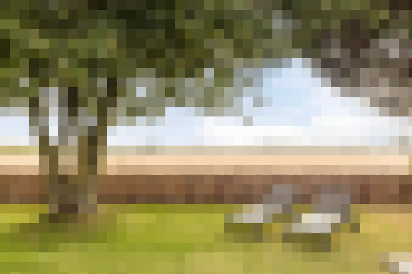 Buurtweg 147 Stavenisse thumbnail 39