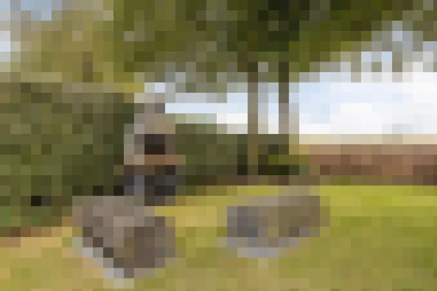 Buurtweg 147 Stavenisse thumbnail 41