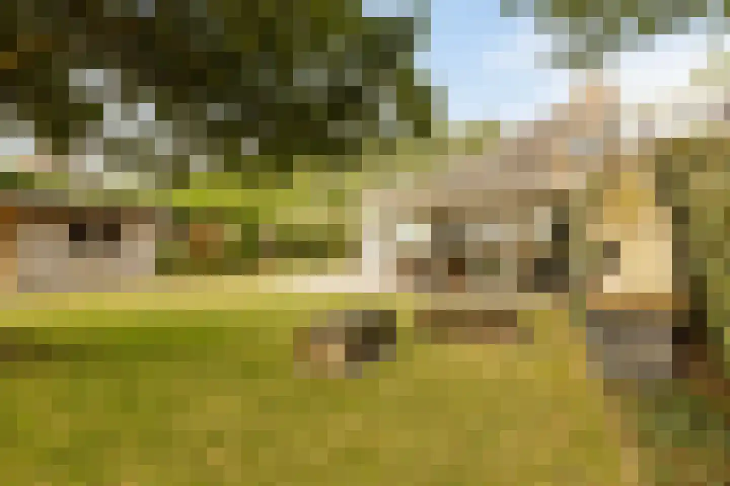 Buurtweg 147 Stavenisse thumbnail 42