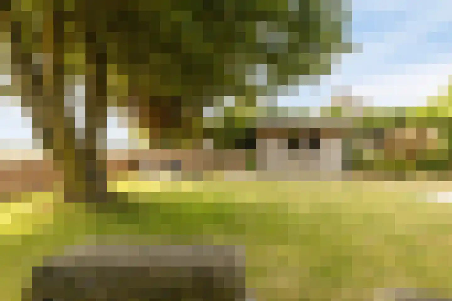 Buurtweg 147 Stavenisse thumbnail 43