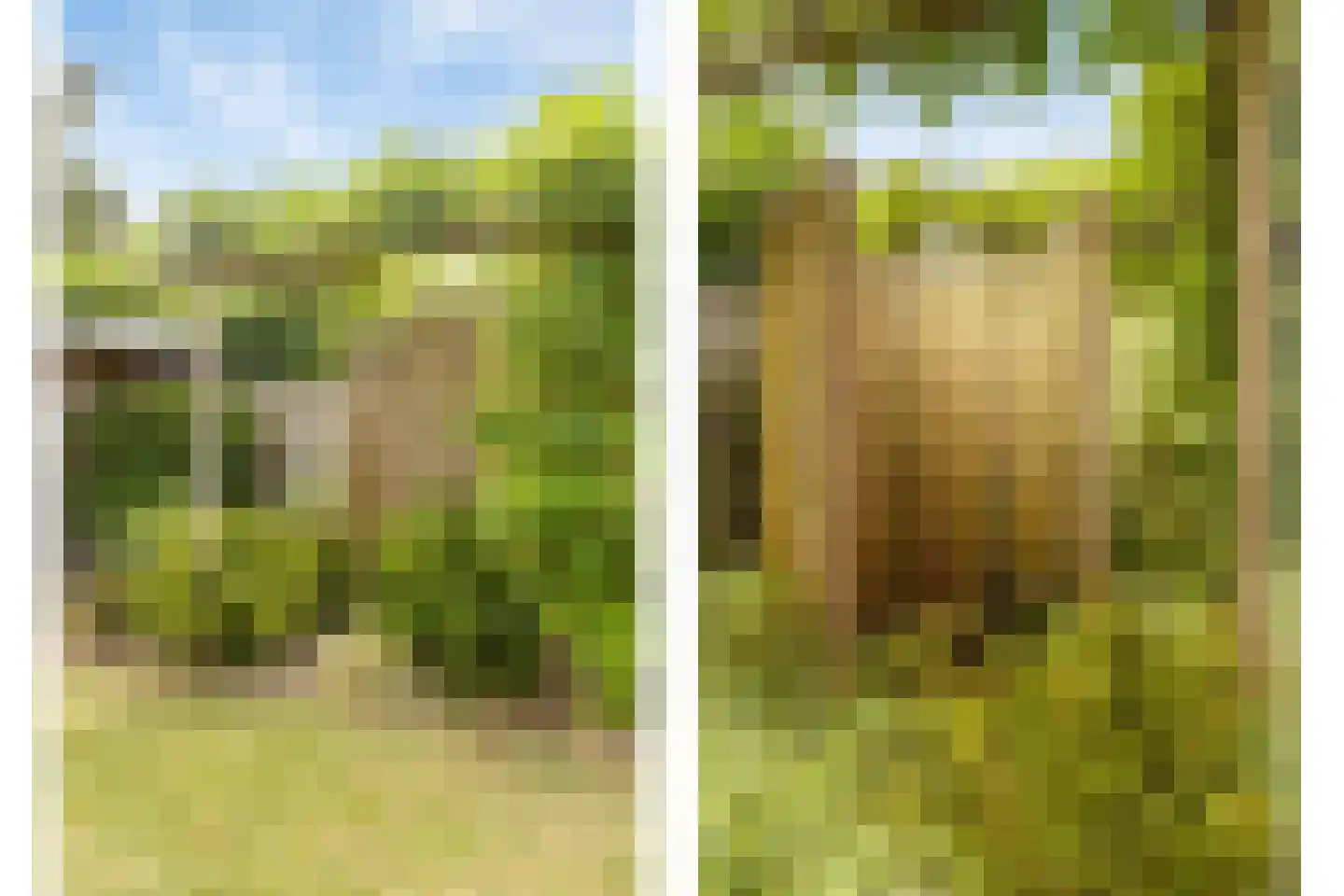 Buurtweg 147 Stavenisse thumbnail 44