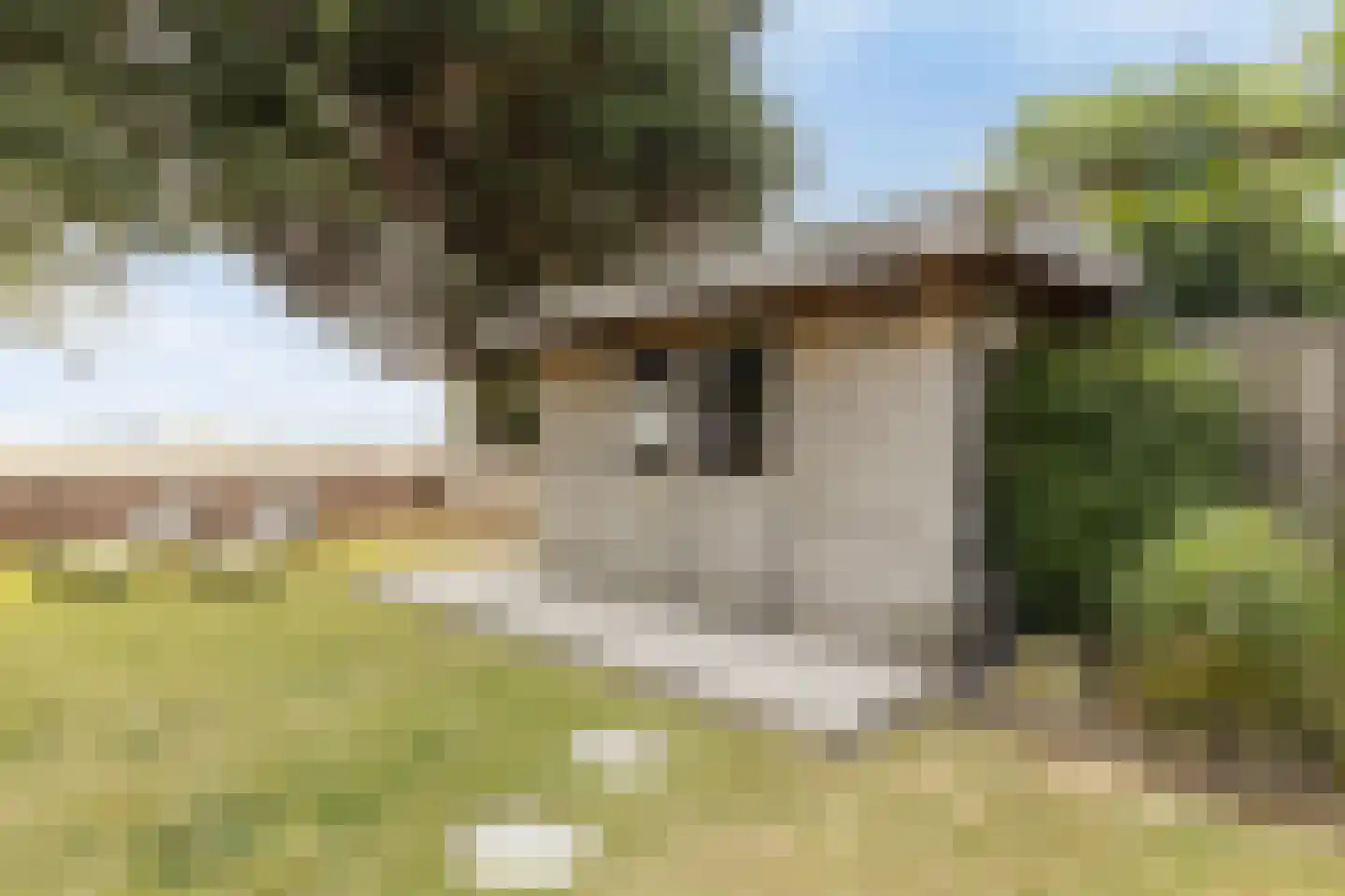 Buurtweg 147 Stavenisse thumbnail 45