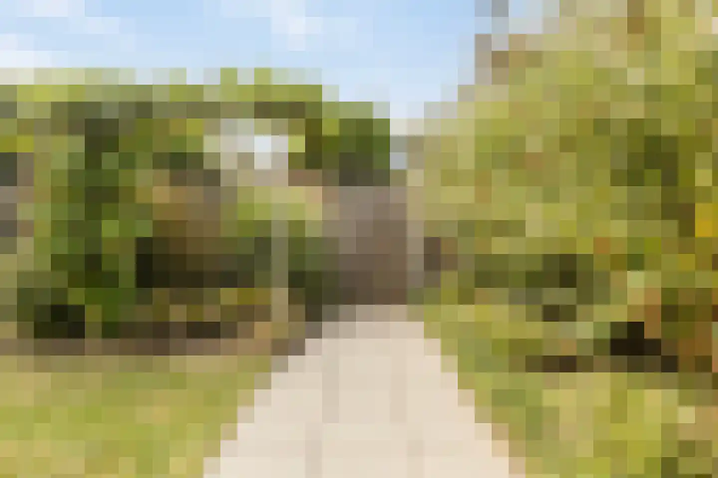Buurtweg 147 Stavenisse thumbnail 47