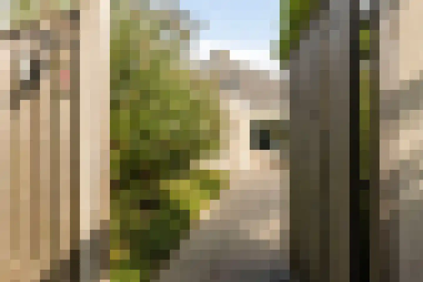 Buurtweg 147 Stavenisse thumbnail 48