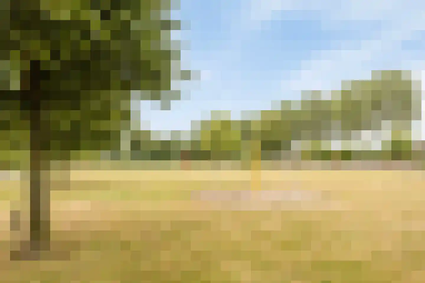 Buurtweg 147 Stavenisse thumbnail 51